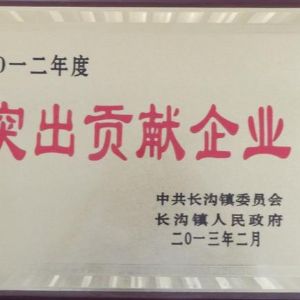 2012年度長溝鎮人民政府突出貢獻企業